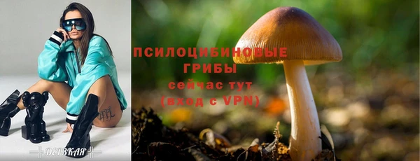 спайс Балабаново