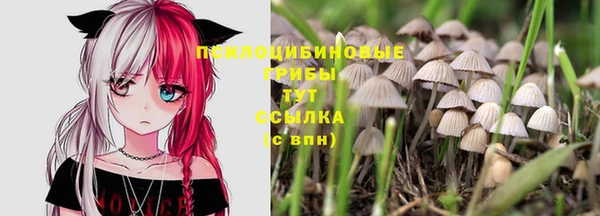 спайс Балабаново